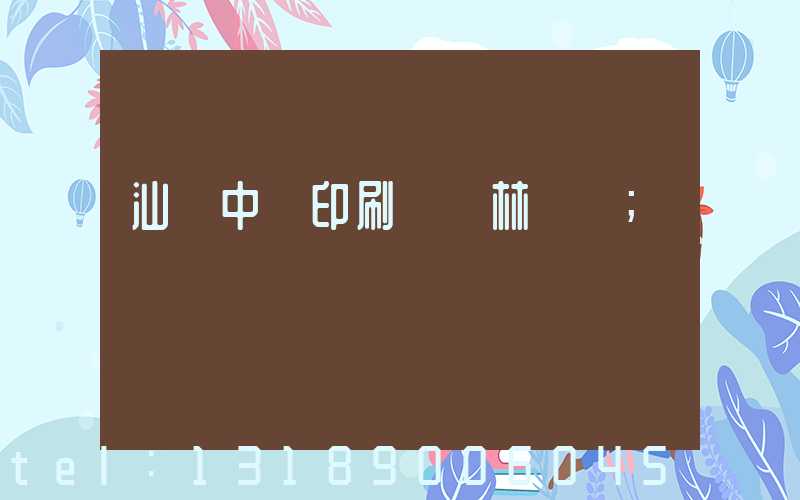 汕頭中興印刷廠 林偉國